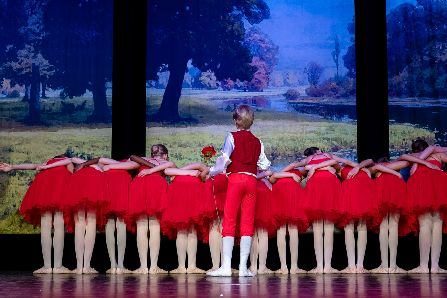 Le Papillon 2019   |   Foto - Mario Perricone