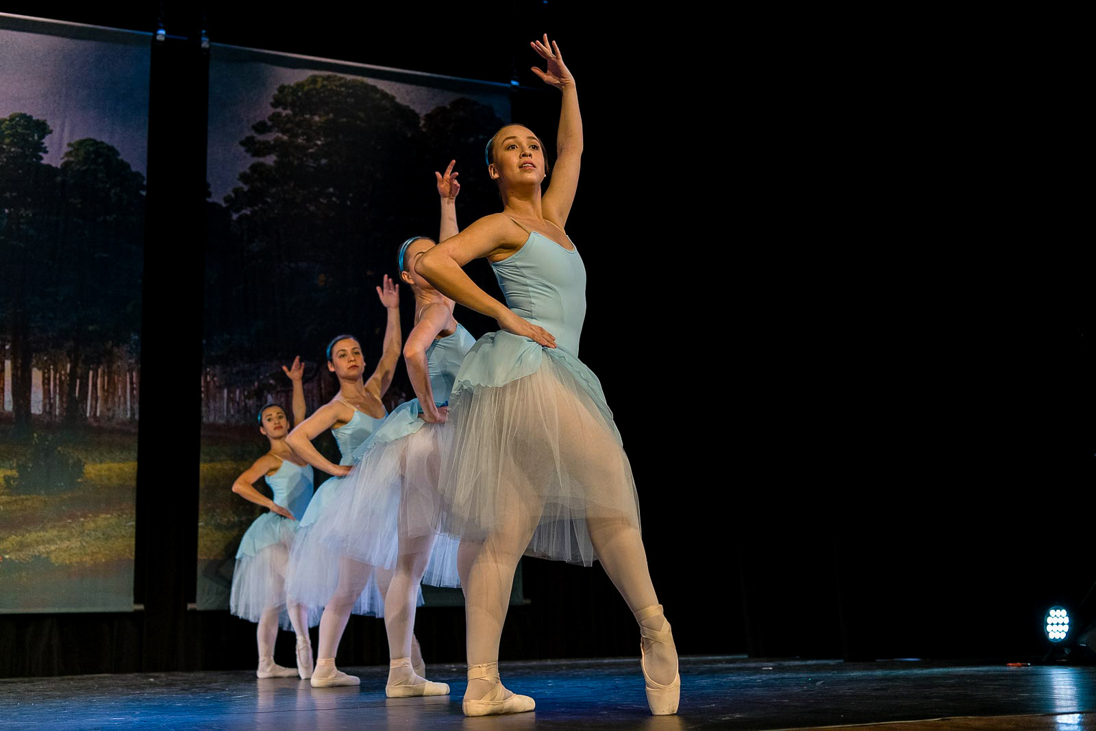 Le Papillon 2019   |   Foto - Mario Perricone