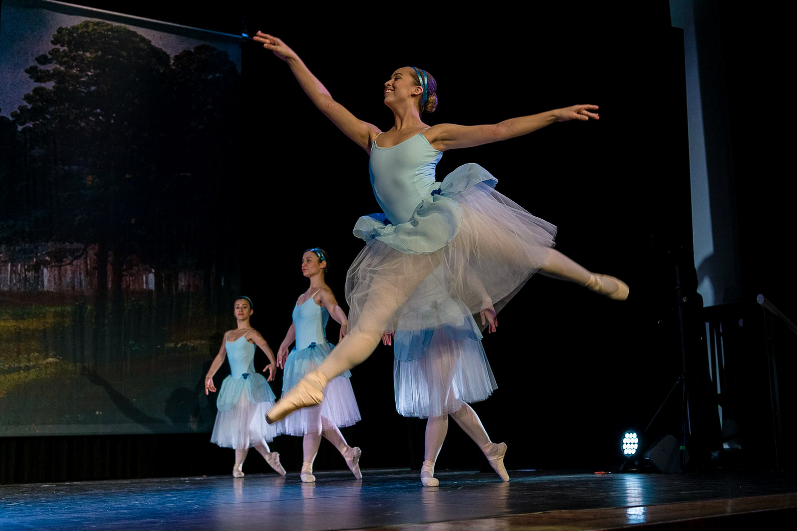 Le Papillon 2019   |   Foto - Mario Perricone